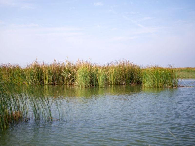 Top 5 Big Bend Fishing Towns Every Angler Should&nbsp;Visit